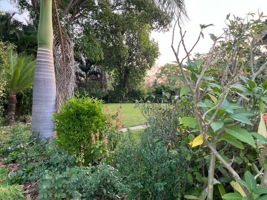 Golden Bamboo Hotel Nyanda Exterior photo